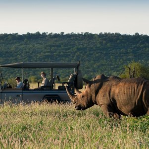 Madikwe-Game-Reserve