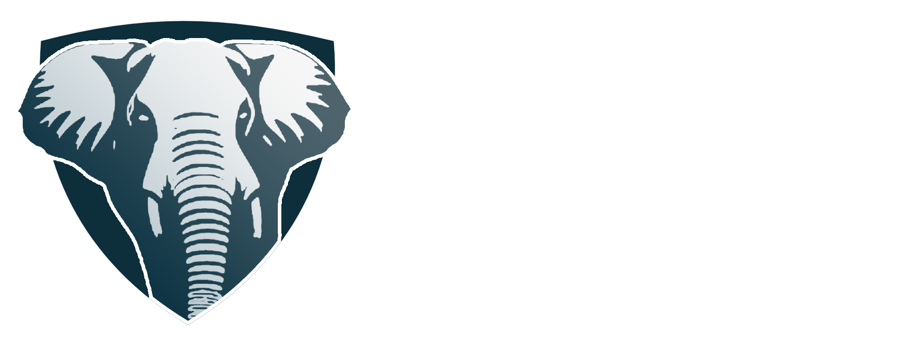 Vinci Travel and Tours
